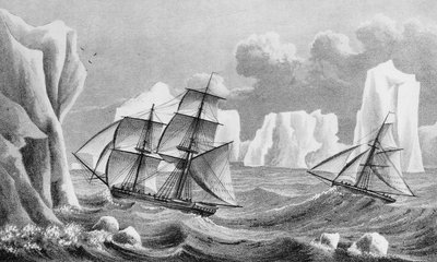 The Brig Jane and Cutter Beaufoy by Weddell